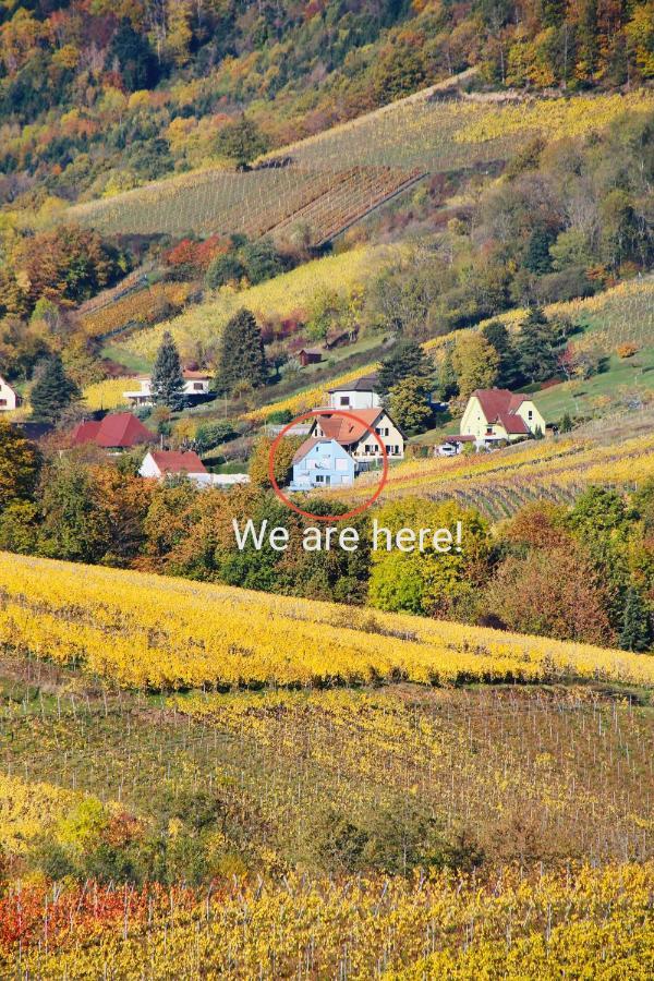 Janea Deep Red House Villa Reichsfeld Luaran gambar
